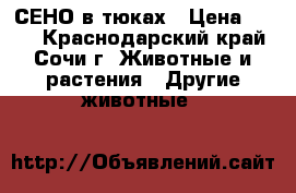 СЕНО в тюках › Цена ­ 250 - Краснодарский край, Сочи г. Животные и растения » Другие животные   